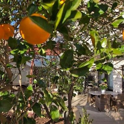 Hotel Durrat Al Eiman 3*